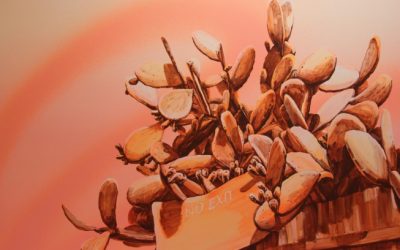 Studio Sessions: James Dodd