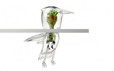 Point and shoot: A step-by-step guide