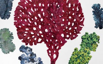 Studio Sessions: Chris De Rosa & Gerry Wedd