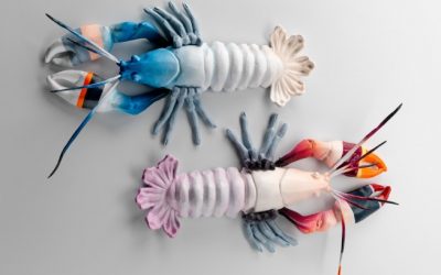 WORKSHOP: Point and Shoot – A step by step guide