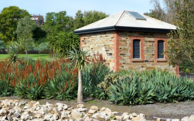 Heidi Kenyon: Pistachio Tree Live Soundscape