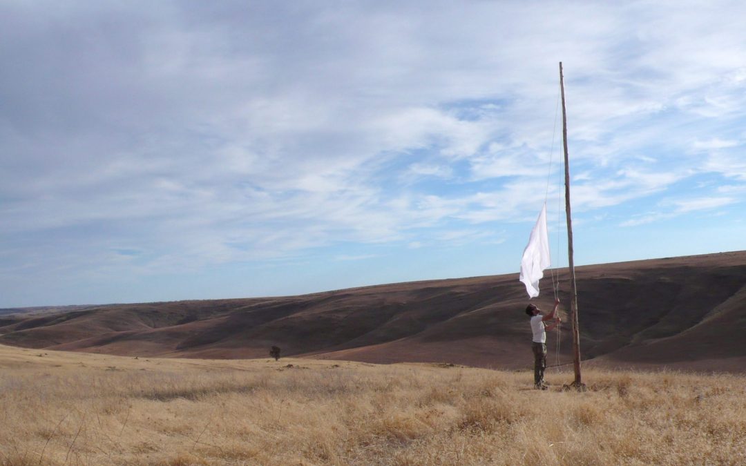 Man in white t-shirt hoisting white flag on wooden pole with hills and cloudy sky in background.