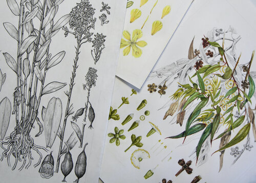Gilbert's+Garden+by+Gibert+Dashhort A work by Justine Varga, a dimly lit image of a window with draping curtains