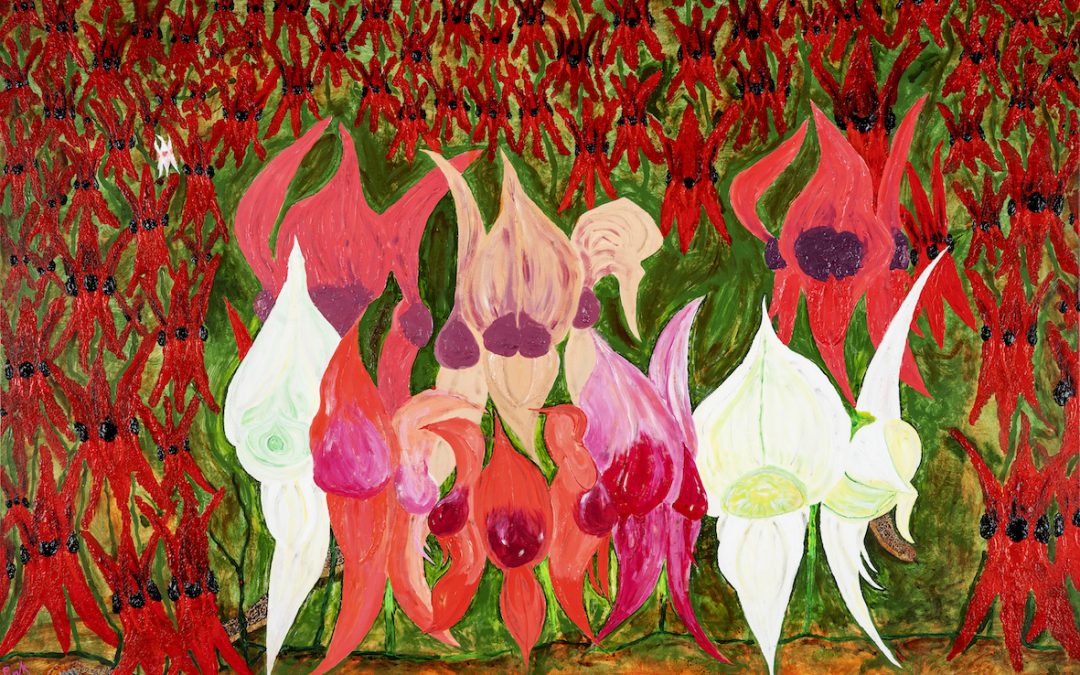 A painting depicting a central image of multiple large Sturt Desert Pea flowers in white, red and pink colours surrounded by smaller red Sturt Desert Peas on a green background.