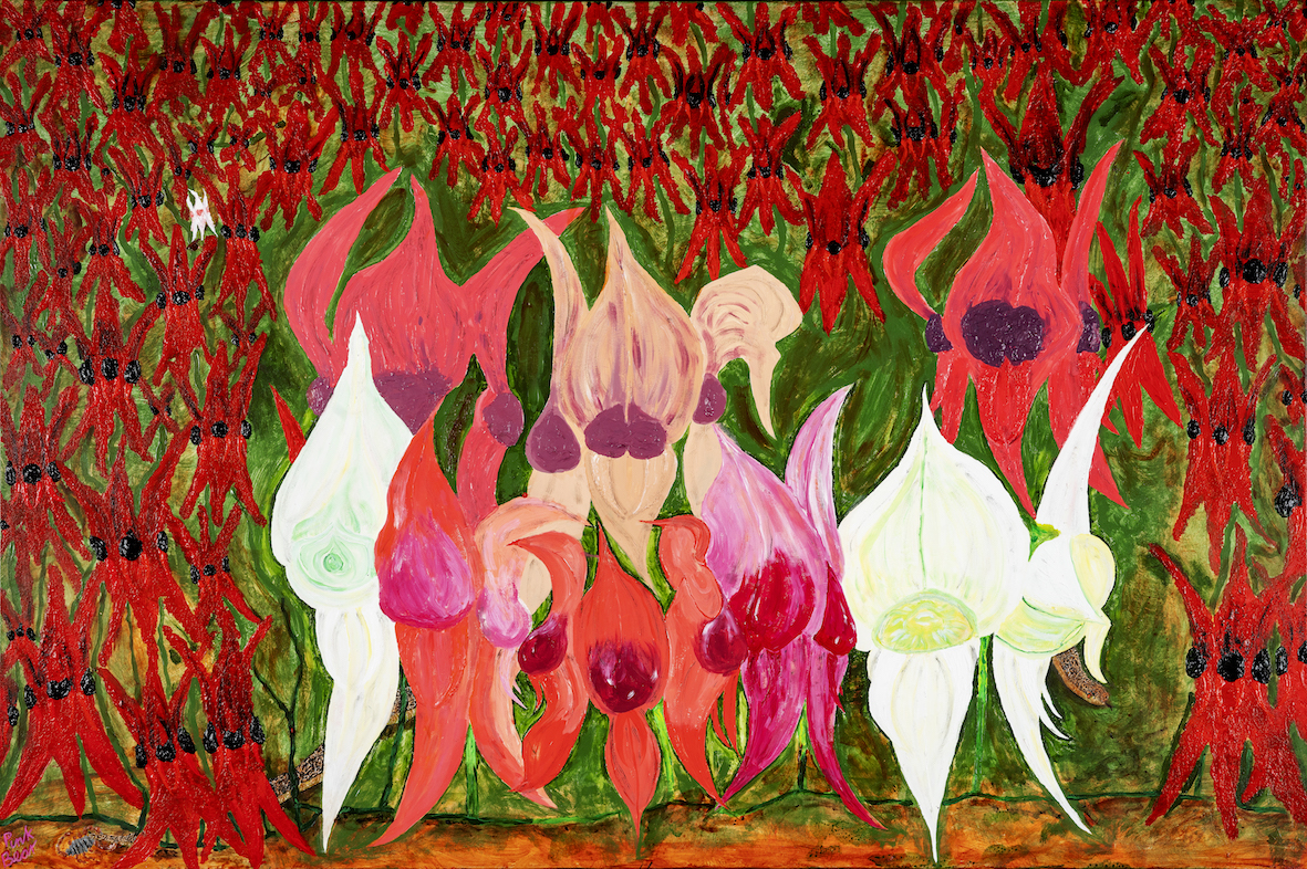 A painting depicting a central image of multiple large Sturt Desert Pea flowers in white, red and pink colours surrounded by smaller red Sturt Desert Peas on a green background. 