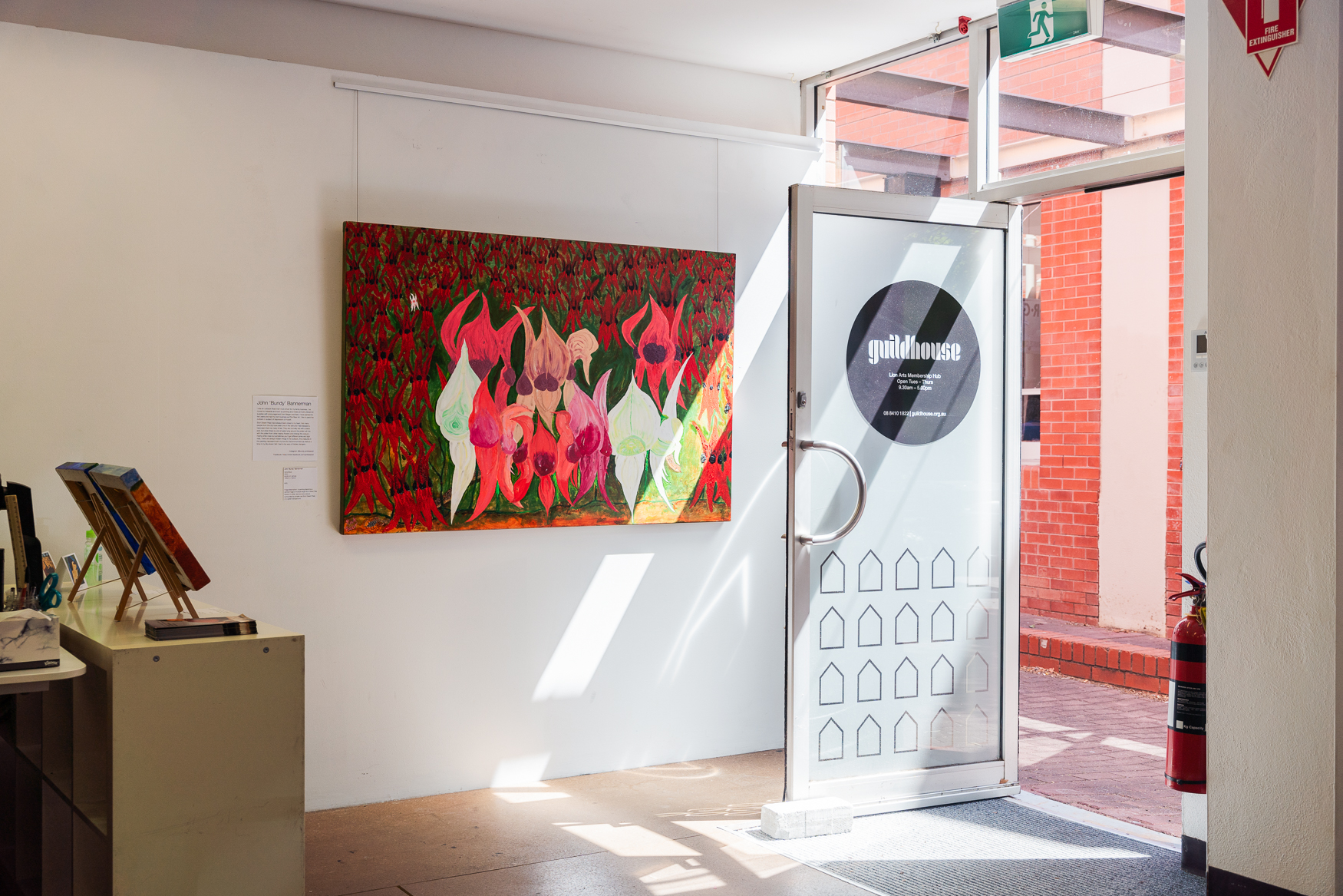 A painting depicting a central image of multiple large Sturt Desert Pea flowers in white, red and pink colours surrounded by smaller red Sturt Desert Peas on a green background. 