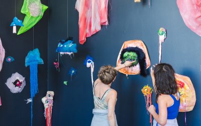 Call Out: Catapult Mentorship 2025