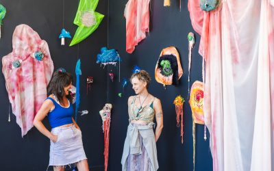 Call Out: 2025 Catapult Mentorship – Round 2