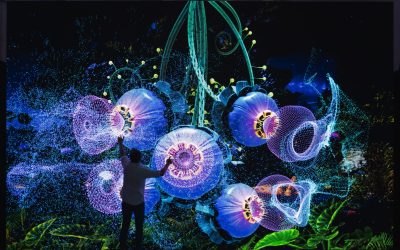 Expression of Interest: ILA immersive public artwork